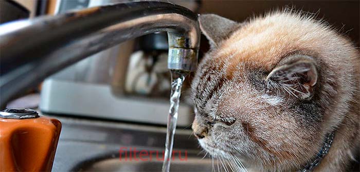 Как очищать воду перед питьем